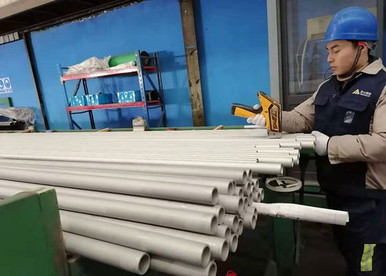 Kazan ASTM A213 TP316L Paslanmaz Çelik Dikişsiz Boru Kazan Parçaları