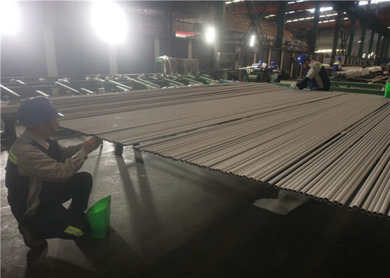 OD 6mm ASTM 269 TP317 Dikişsiz Paslanmaz Boru
