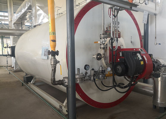 0.7MW Yüksek Güvenlik Seviyeli Organik Dizel Yakıtlı Buhar Kazanı